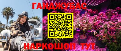 ГАЛЛЮЦИНОГЕННЫЕ ГРИБЫ Можга